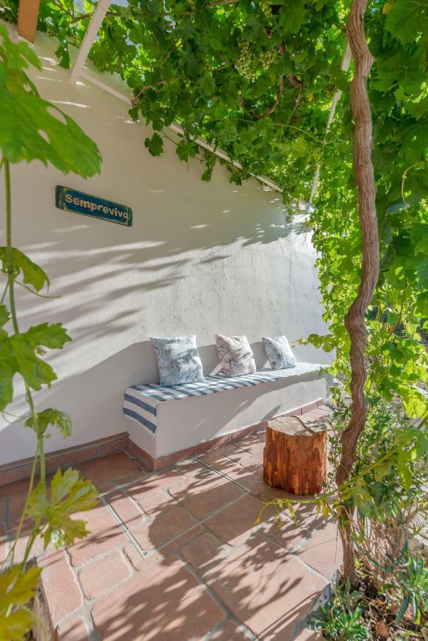 Sempreviva Villa Agios Leon Bagian luar foto
